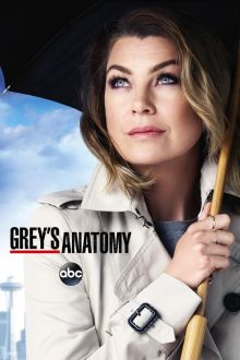 image: Grey's Anatomy